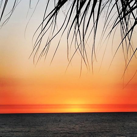 #502 Beach Place Condos - Nightly Rental เซนต์พีทบีช ภายนอก รูปภาพ